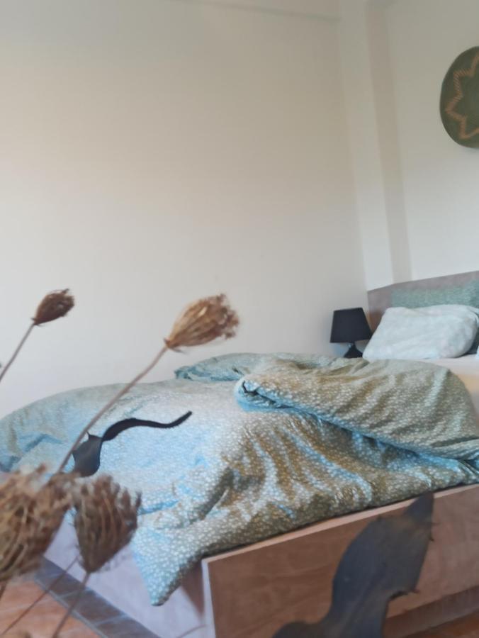 Knots Apartments Agios Nikolaos  المظهر الخارجي الصورة